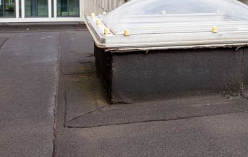 disadvantages of Hopgoods Green flat roofs