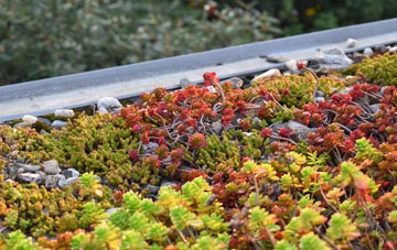 the cost of Hopgoods Green green roof installation