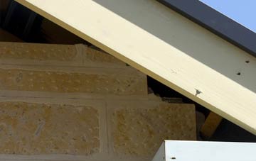 soffit repair Hopgoods Green